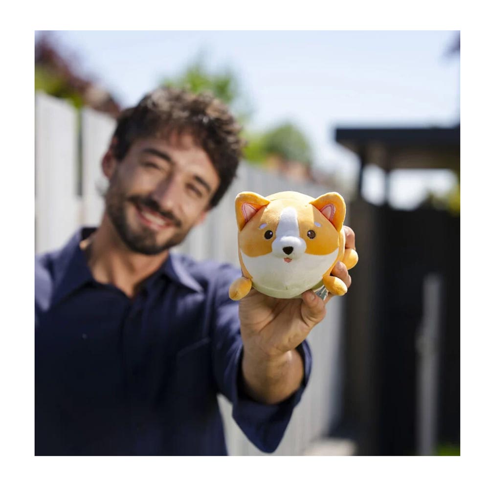 Λούτρινο Mini Corgi - Super Soft ! - MSC0005 Legami - 2