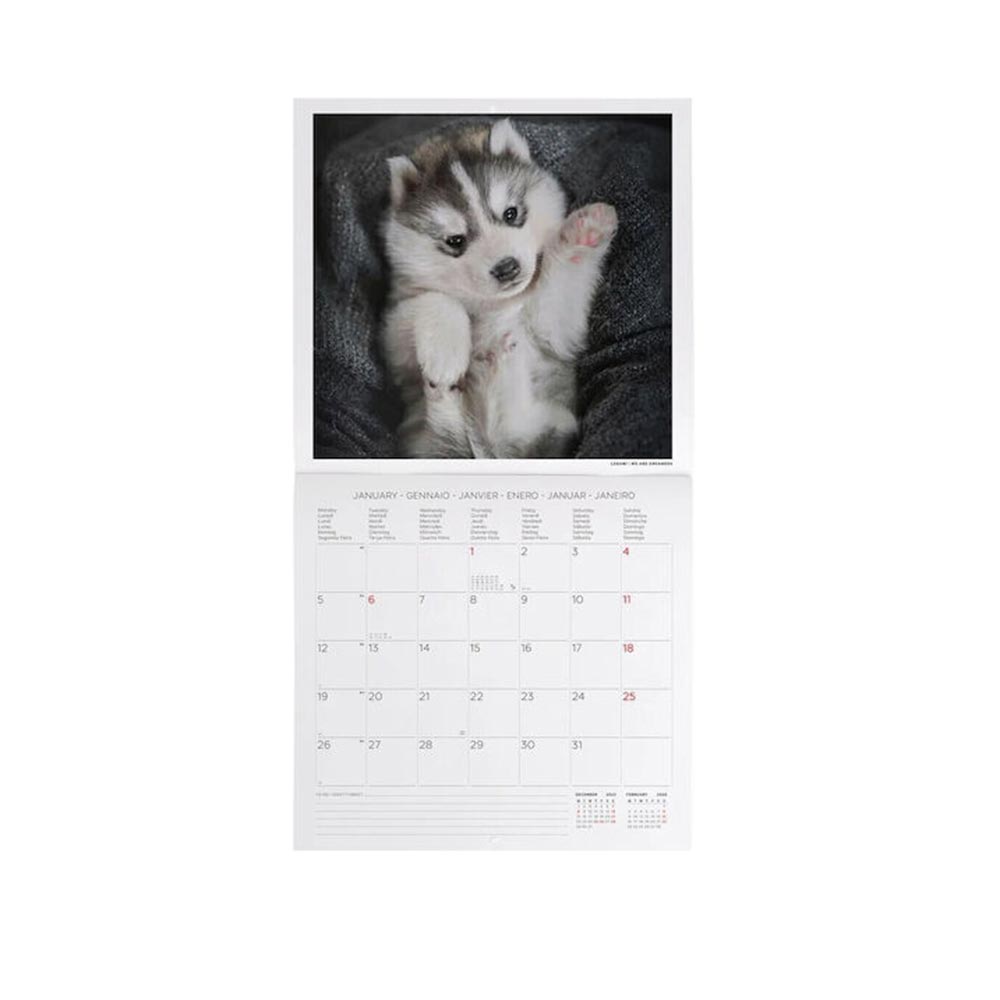 Μηνιαίο Επιτοίχιο Ημερολόγιο 2026 Puppies 30x29cm CAL260001 Legami - 2