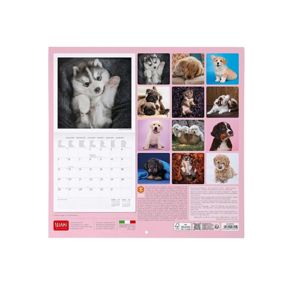Μηνιαίο Επιτοίχιο Ημερολόγιο 2026 Puppies 30x29cm CAL260001 Legami - 1