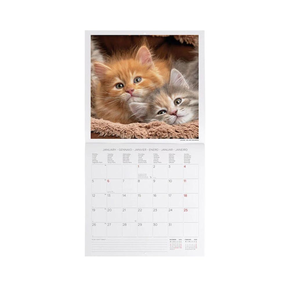 Μηνιαίο Επιτοίχιο Ημερολόγιο 2026 Kittens 30x29cm CAL260002 Legami - 2