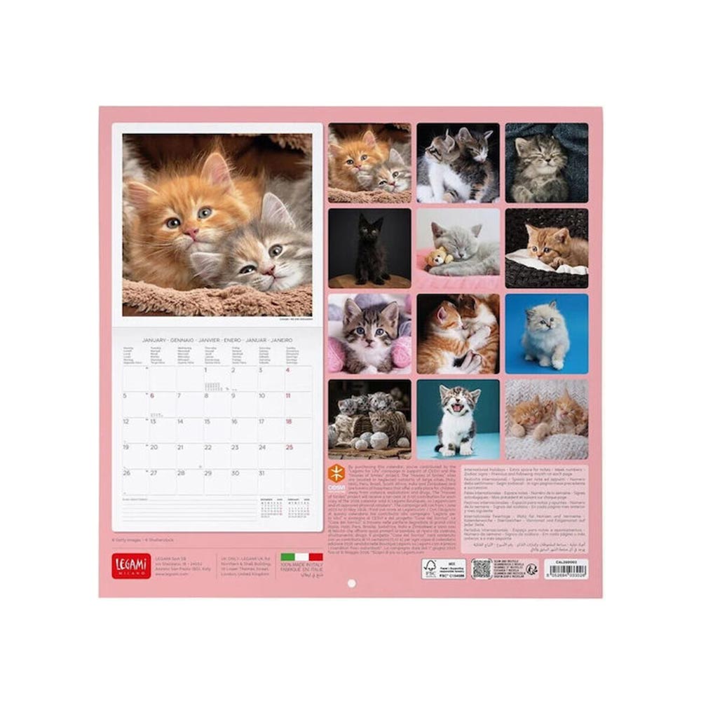 Μηνιαίο Επιτοίχιο Ημερολόγιο 2026 Kittens 30x29cm CAL260002 Legami - 1