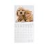 Μηνιαίο Επιτοίχιο Ημερολόγιο 2026 Best Friends 30x29cm CAL260005 Legami - 1