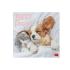 Μηνιαίο Επιτοίχιο Ημερολόγιο 2026 Best Friends 30x29cm CAL260005 Legami - 0