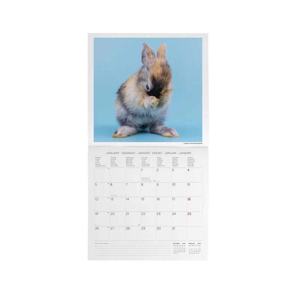 Μηνιαίο Επιτοίχιο Ημερολόγιο 2026 Honey Bunny 30x29cm CAL260006 Legami - 2