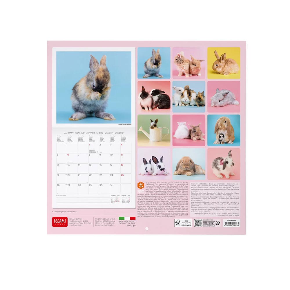 Μηνιαίο Επιτοίχιο Ημερολόγιο 2026 Honey Bunny 30x29cm CAL260006 Legami - 1