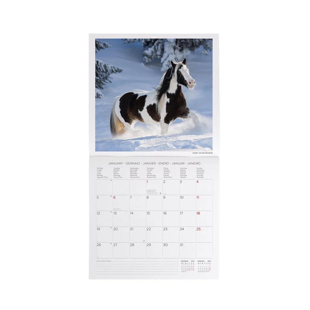 Μηνιαίο Επιτοίχιο Ημερολόγιο 2026 Wild Horses 30x29cm CAL260007 Legami - 1
