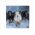 Μηνιαίο Επιτοίχιο Ημερολόγιο 2026 Wild Horses 30x29cm CAL260007 Legami - 0
