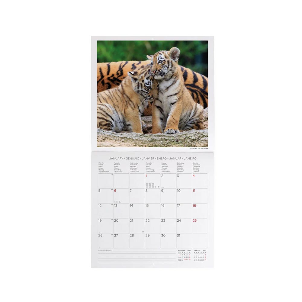 Μηνιαίο Επιτοίχιο Ημερολόγιο 2026 Baby Animals 30x29cm CAL260008 Legami - 2
