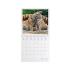 Μηνιαίο Επιτοίχιο Ημερολόγιο 2026 Baby Animals 30x29cm CAL260008 Legami - 2