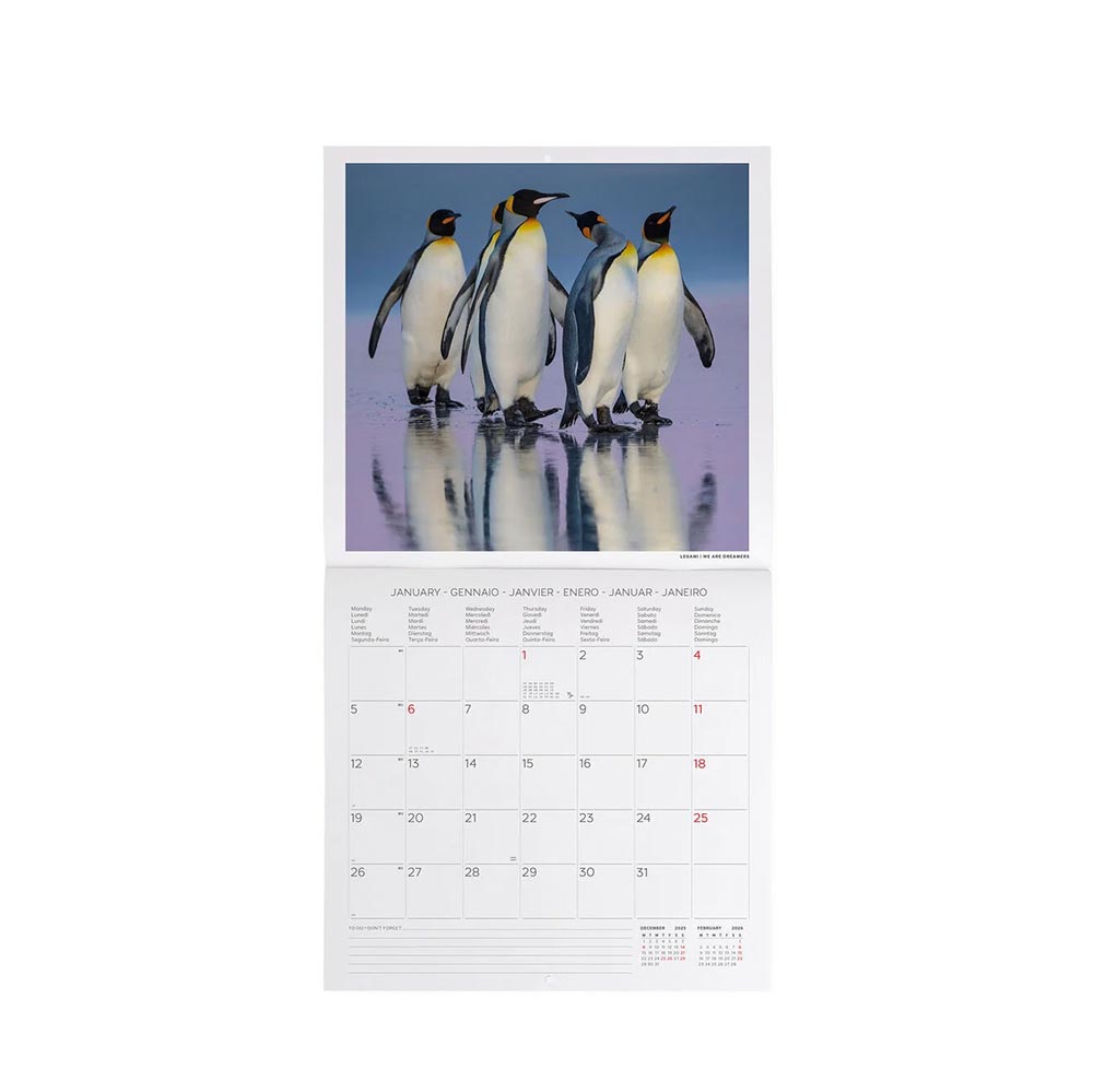 Μηνιαίο Επιτοίχιο Ημερολόγιο 2026 Penguins 30x29cm CAL260010 Legami - 2