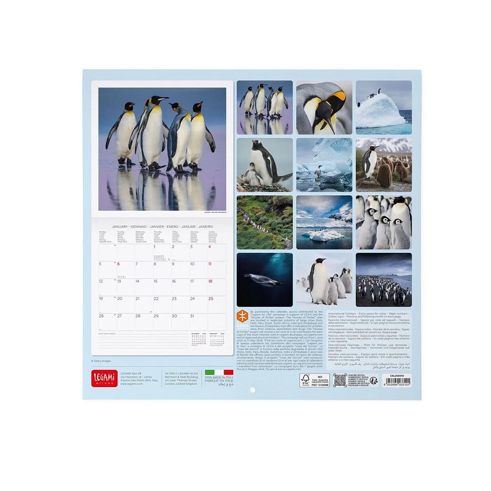 Μηνιαίο Επιτοίχιο Ημερολόγιο 2026 Penguins 30x29cm CAL260010 Legami - 1
