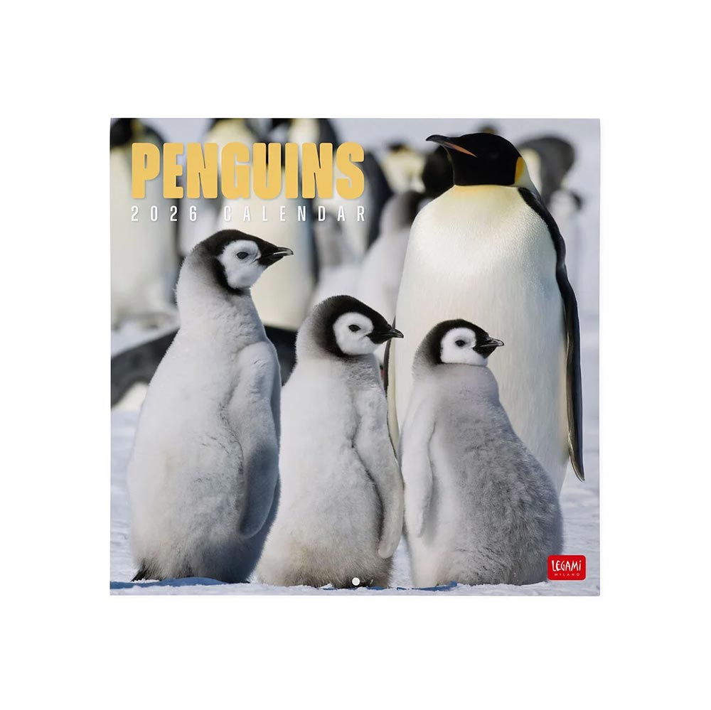 Μηνιαίο Επιτοίχιο Ημερολόγιο 2026 Penguins 30x29cm CAL260010 Legami - 106700