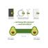 Magnetic Clip Avocado CATY0002 Legami - 1