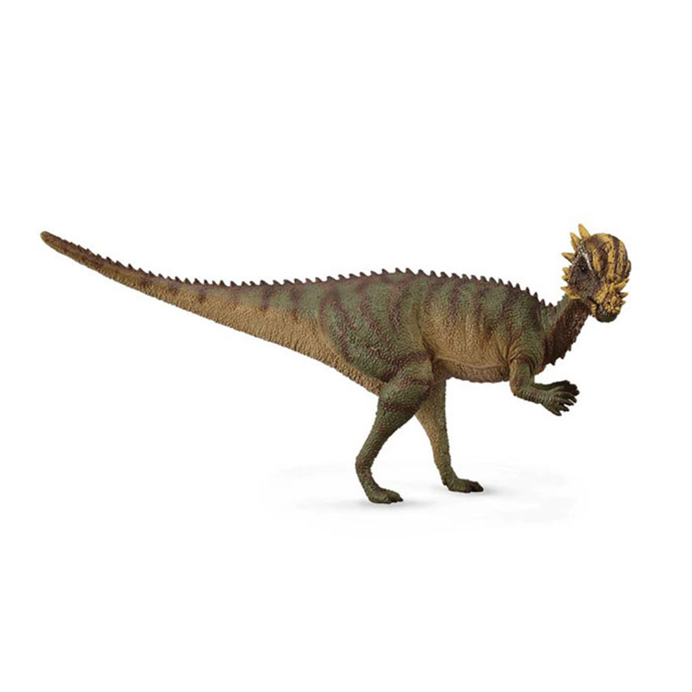 Παχυκεφαλόσαυρος  Medium 88629 Collecta - 46894