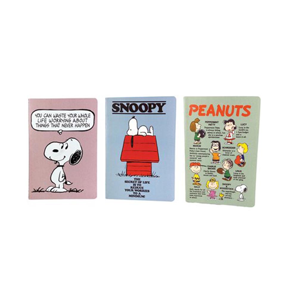 Σετ Σημειωματάρια Α5 Peanuts Friends 3 Τεμάχια 365-04003 Back Me Up - 106296