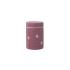 Ανοξείδωτο Θερμό Φαγητού 300ml Swallow FD100-15 Fresk - 0