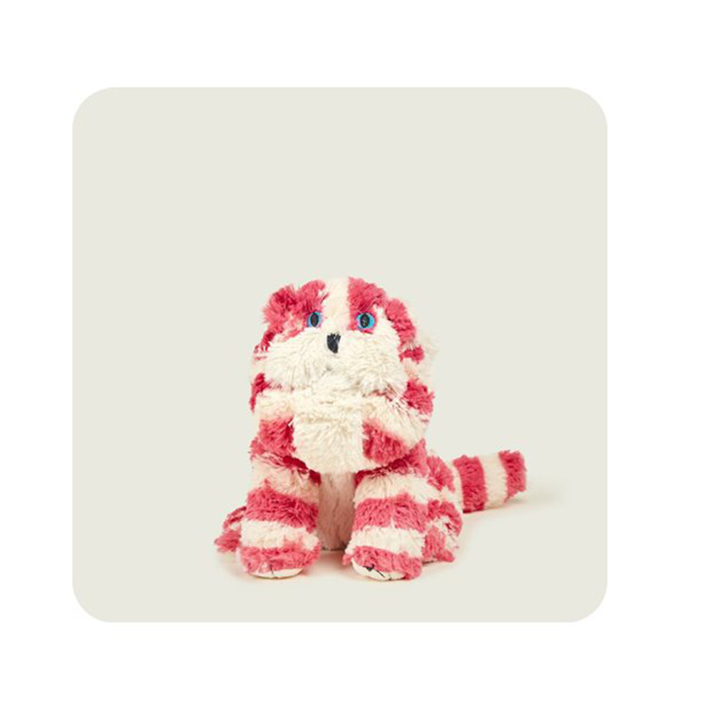 Λούτρινο - Θερμοφόρα Bagpuss Γάτα BAG-CAT-1 Warmies - 109338