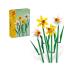 Botanical Daffodils 40747 Lego - 1