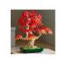 Botanical Japanese Red Maple Bonsai Tree 10348 Lego - 2