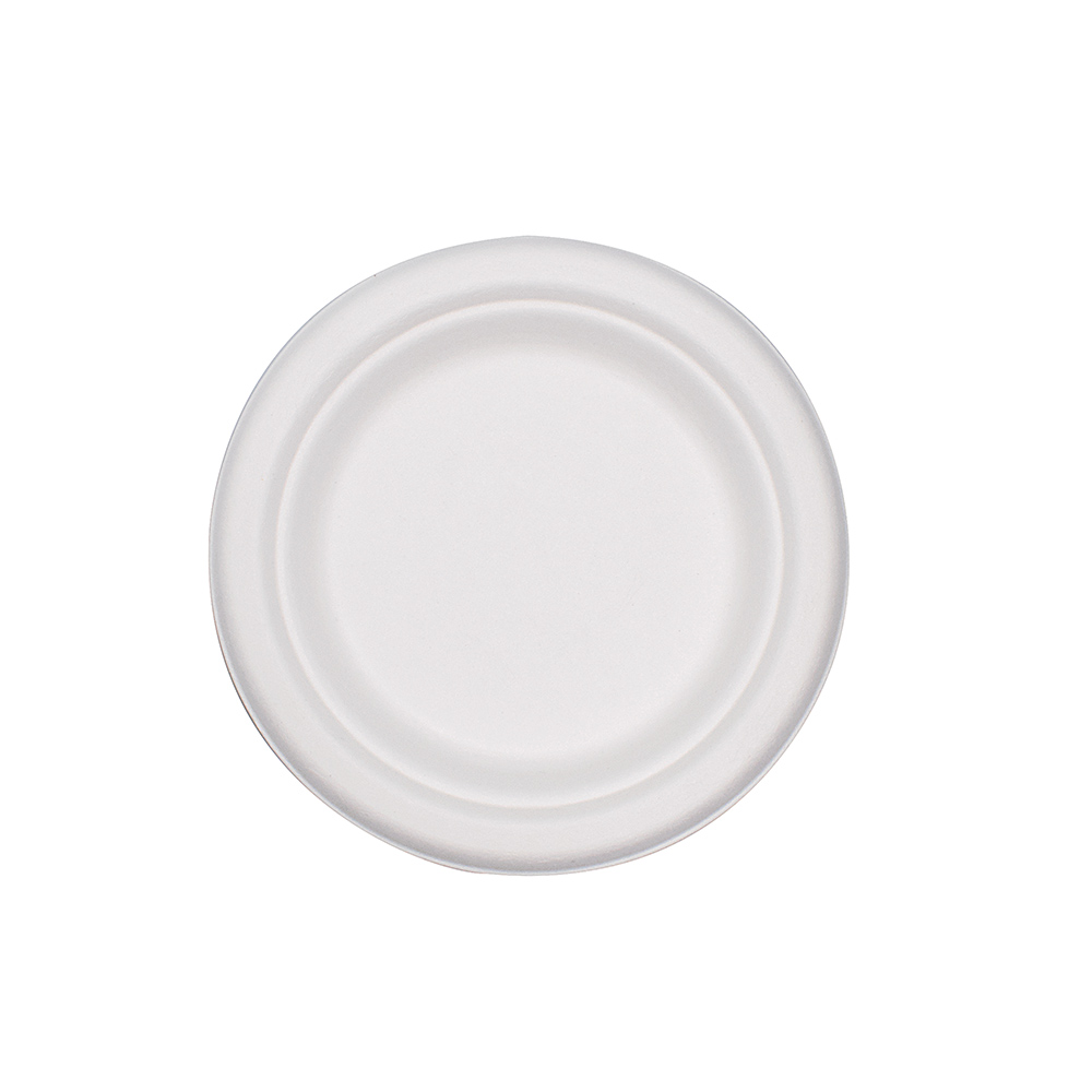 WHITE BIODEGRADABLE PLATE (SUGARCANE FIBER) 23cm 200pcs