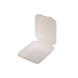 FOOD CONTAINER BIODEGRADED SINGLE SQUARE SQUARE 23x15cm 125pcs-2