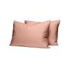Σεντόνια Υπέρδιπλα Σετ Με Λάστιχο 170x200+38cm Sunshine Cotton Feelings 116 Light Pink Βαμβάκι