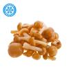 Frozen Honey Mushrooms - опята - 500g ULAN