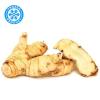 Frozen Galangal Root 250g ASIAN CHOICE