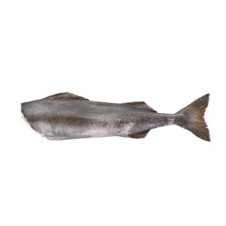 Μαύρος Μπακαλιάρος Ωμός, χωρίς Κεφάλι 5/7 lbs (2-3kg)/ψάρι  22.7 kg/κιβώτιο SEAFOOD MARKET