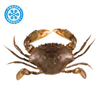 Soft Shell Mangrove Crab JUMBO 80g IQF 1kg (12 crabs) SEACON