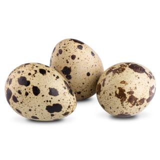 Αυγά Ορτυκιού 16 αυγά