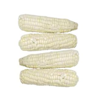 White Giant Corn in Cob Frozen - Choclo Entero 4pcs ALIBABA