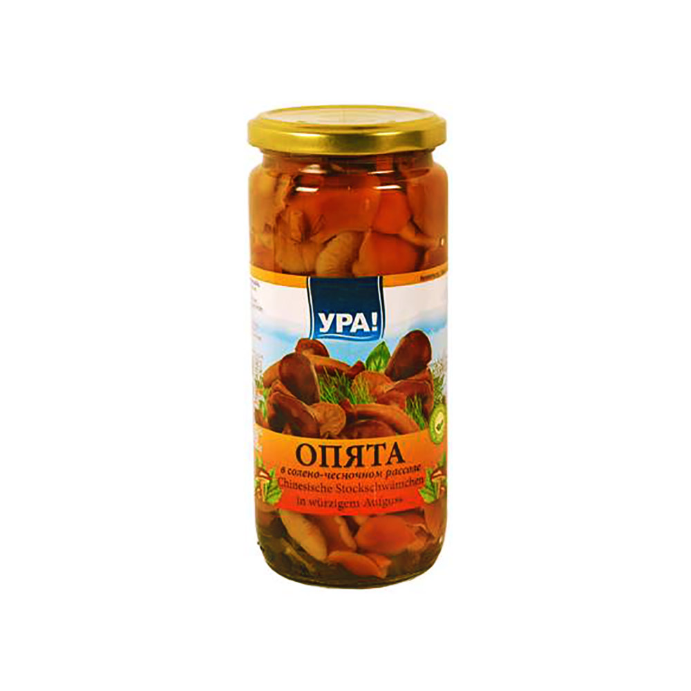 Pickled Opiata Mushrooms with Herbs 500ml YRA!