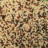 Quinoa Tricolor 500g MIKUNA